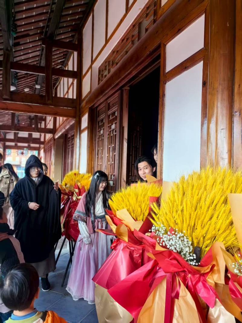 龙州县文旅项目策划